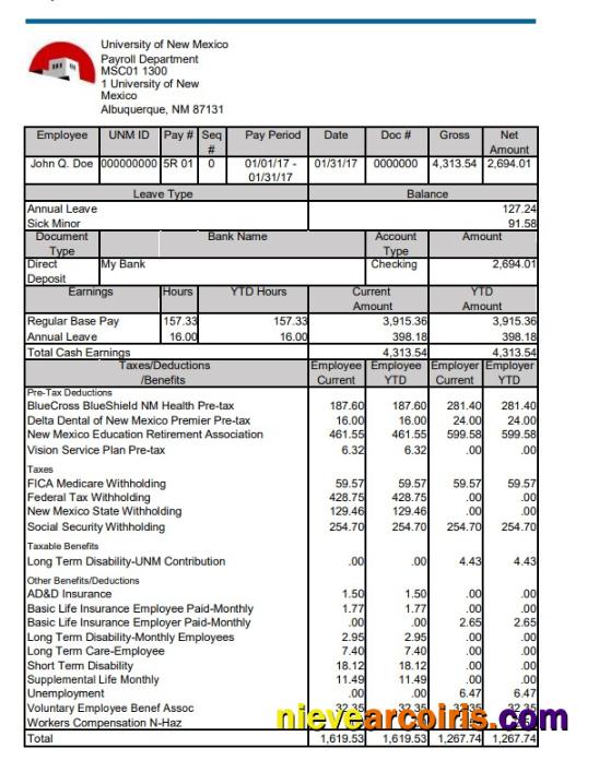 University of New Mexico pay stub